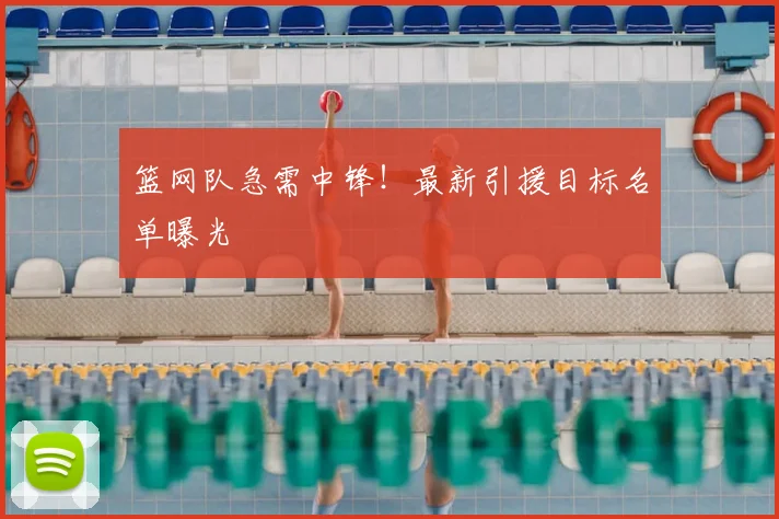 篮网队急需中锋!最新引援目标名单曝光